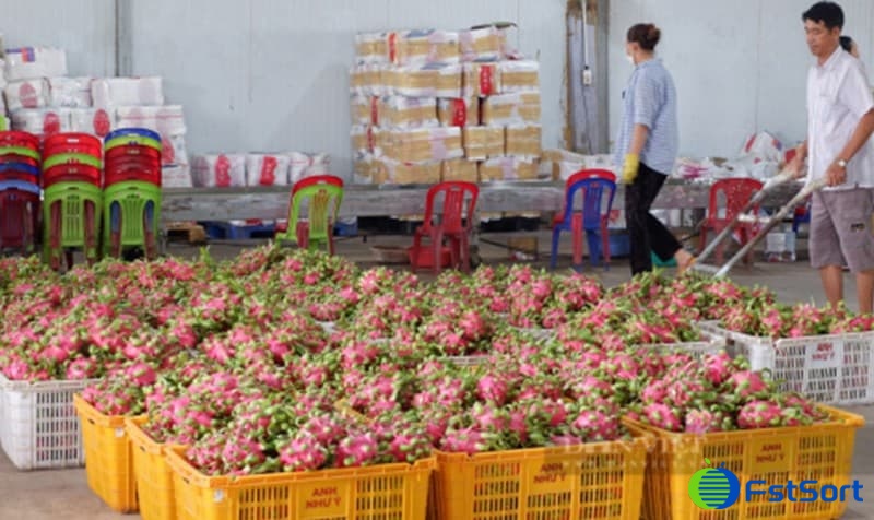 images/1692778281400Fruta kirin ecuatoriana.jpg